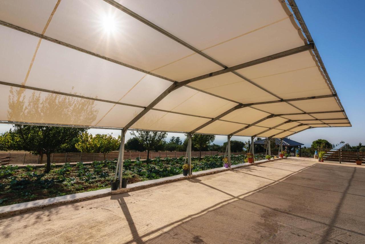 Alonaki Apartments Agios Leon Dış mekan fotoğraf